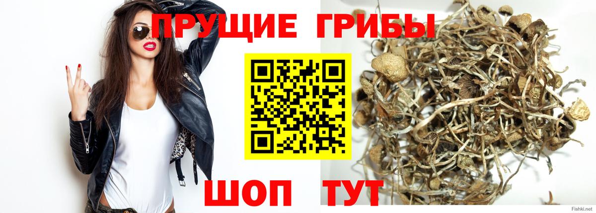 Галлюциногенные грибы MAGIC MUSHROOMS  Вход с VPN  Кумертау 